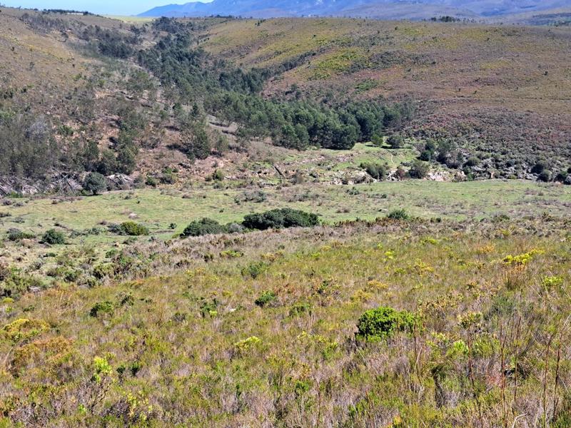 0 Bedroom Property for Sale in Kareedouw Eastern Cape